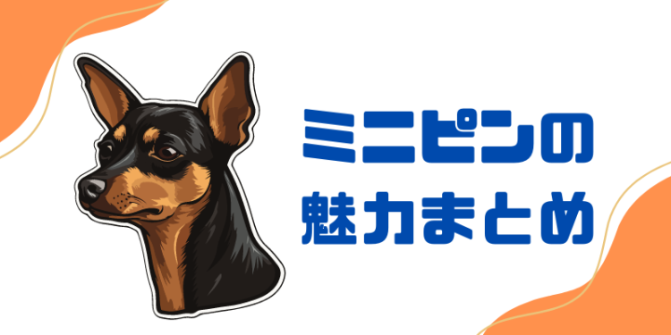 ミニピンの魅力まとめ